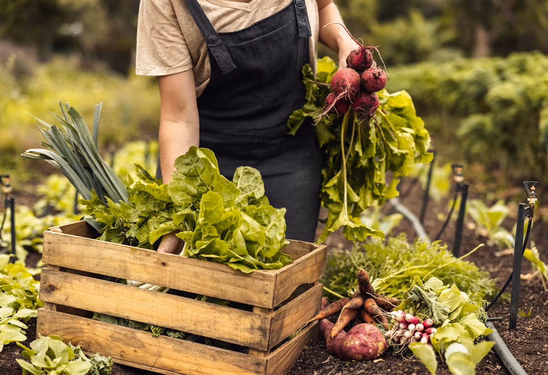 Zero waste - een nieuwe levensfilosofie?