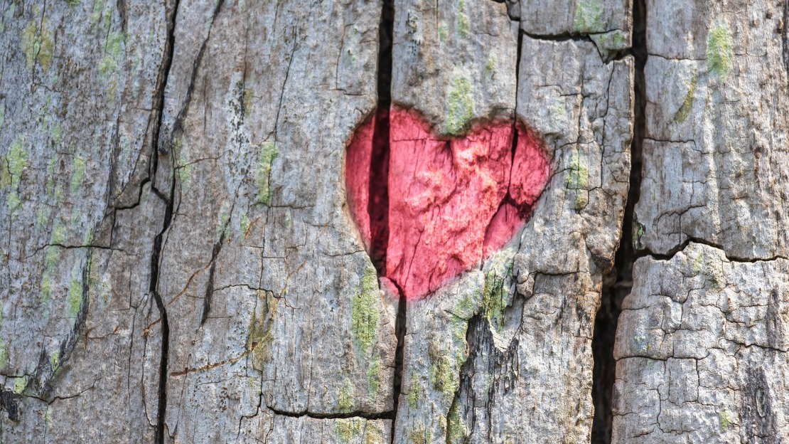 Valentijnsdag 2026: impulsief uitgeven neemt sterk af